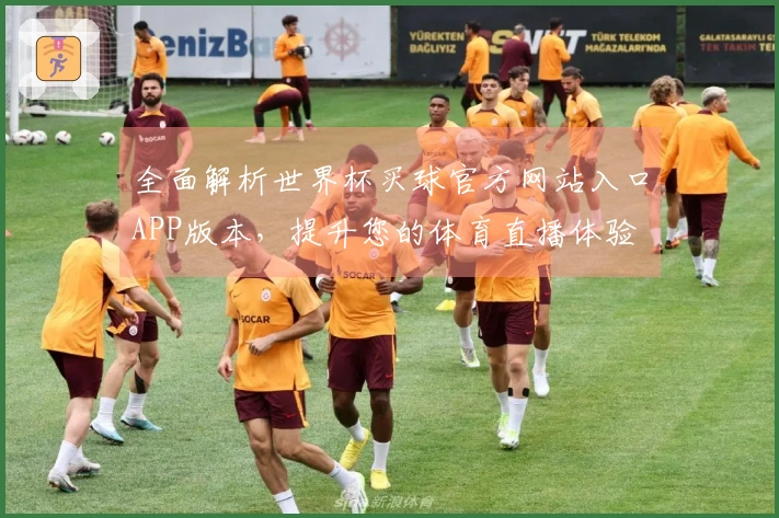 全面解析世界杯买球官方网站入口APP版本，提升您的体育直播体验