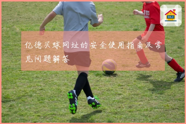 亿德买球网址的安全使用指南及常见问题解答