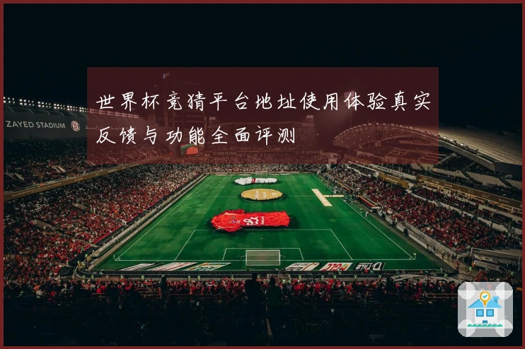 世界杯竞猜平台地址使用体验真实反馈与功能全面评测