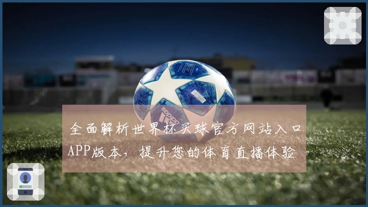 全面解析世界杯买球官方网站入口APP版本，提升您的体育直播体验
