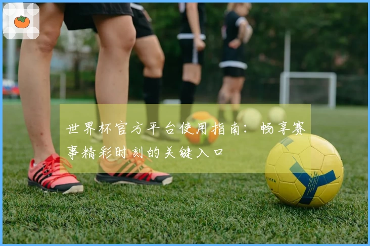 世界杯官方平台使用指南：畅享赛事精彩时刻的关键入口