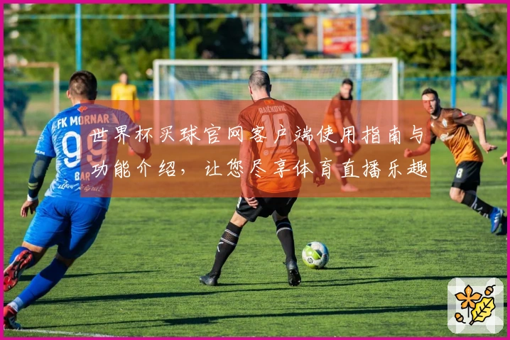 世界杯买球官网客户端使用指南与功能介绍，让您尽享体育直播乐趣