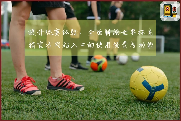 提升观赛体验，全面解读世界杯竞猜官方网站入口的使用场景与功能特点