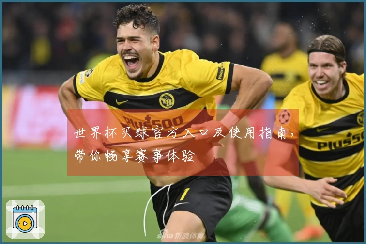 世界杯买球官方入口及使用指南，带你畅享赛事体验