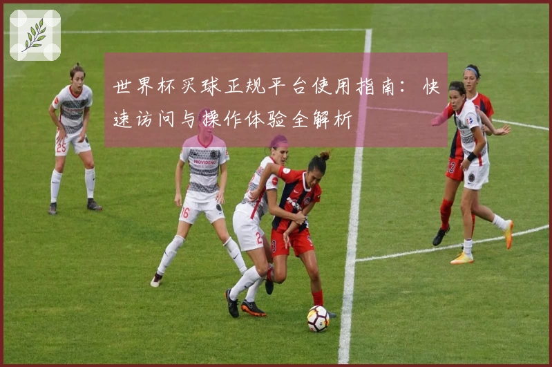 世界杯买球正规平台使用指南：快速访问与操作体验全解析