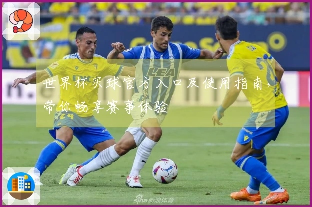 世界杯买球官方入口及使用指南，带你畅享赛事体验
