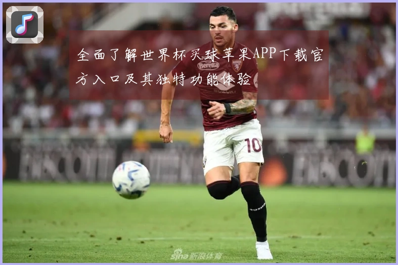 全面了解世界杯买球苹果APP下载官方入口及其独特功能体验